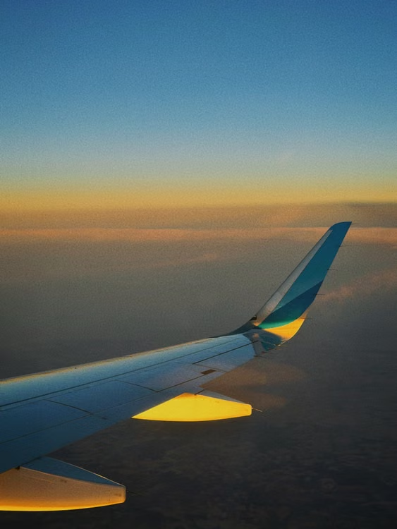 Vista del ala de un avión al atardecer